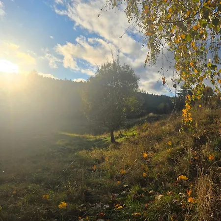 Hillside *