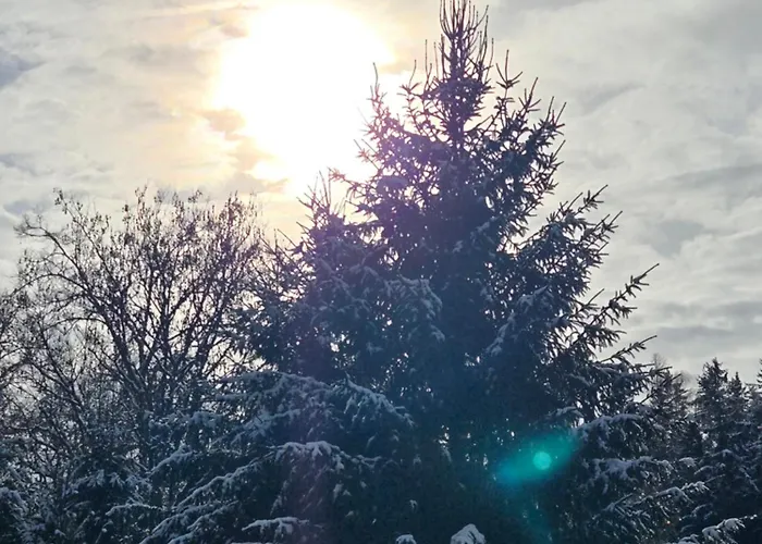 Hillside *